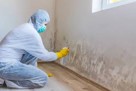 Best Industrial Mold Remediation in Saticoy, CA