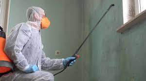 Best Forensic Mold Investigation in Saticoy, CA