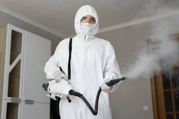 Best Mold Prevention Services in Saticoy, CA