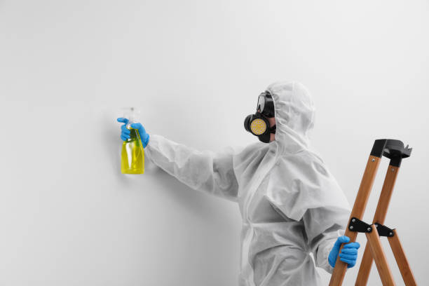 Best Asbestos and Lead Testing During Mold Inspection in Saticoy, CA