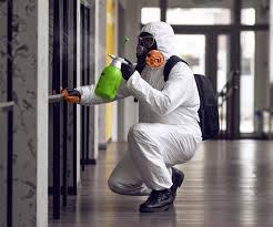 Why You Should Choose Our Mold Remediation Services in Saticoy, CA